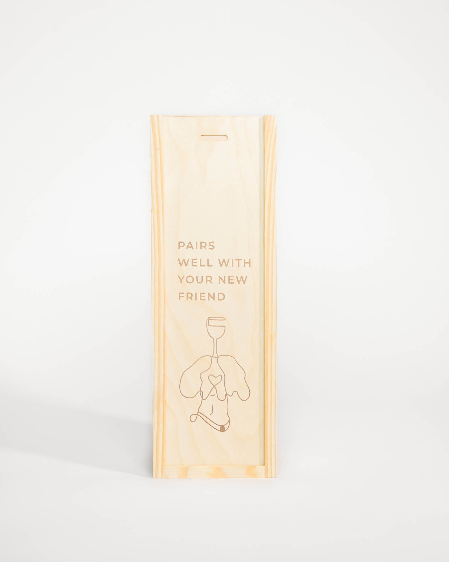 PAIRS WELL WITH NEW FRIEND DOG